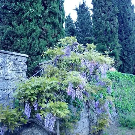 Lussuoso In Comasca * Molteno